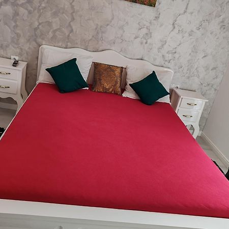 Apartament Gabriela Baia Mare Ngoại thất bức ảnh