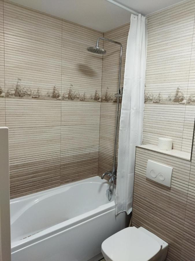 Apartament Gabriela Baia Mare Ngoại thất bức ảnh
