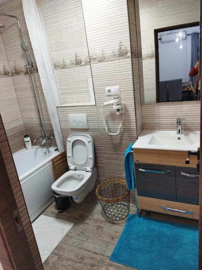 Apartament Gabriela Baia Mare Ngoại thất bức ảnh
